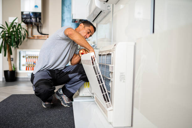Best Home Air Vent Cleaning  in Le Mars, IA
